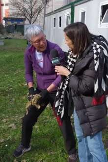 Leiria reergue-se: centenas de pessoas juntam-se em ação de voluntariado junto ao estádio municipal